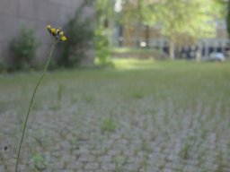 Rund um Bremen
